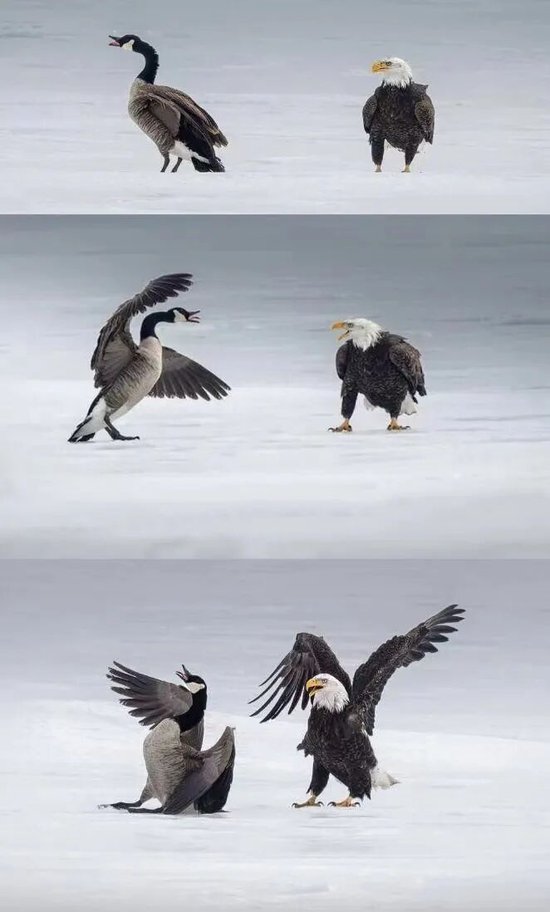 21點：牛彈琴：更肮髒的遊戯來了